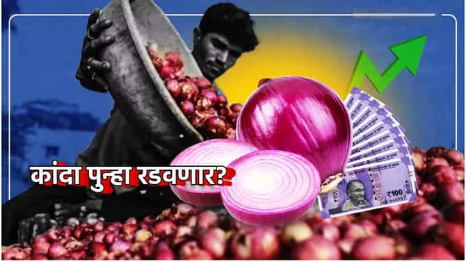Onion Price: कांदा पुन्हा रडवणार? सर्वसामान्यांचं किचन बजेट कोलमडणार, मोठी अपडेट काय?