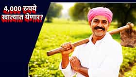 PM Kisan Yojana:… तर खात्यात 4,000 रुपये जमा होणार... ती चूक दुरुस्त केली का? पीएम किसान योजनेची मोठी अपडेट