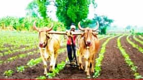 कर्जमाफीची नवीन तारीख समोर! या दिवशी खात्यात जमा होणार पैसा.