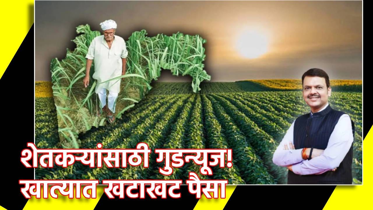 Farmer Loan Waiver: शेतकर्यांसाठी गुडन्यूज! खात्यात खटाखट पैसा, दुसरा हप्ता वितरीत, यादीत नाव कसं चेक करणार? Farmer Loan Waiver: शेतकर्यांसाठी गुडन्यूज! खात्यात खटाखट पैसा, दुसरा हप्ता वितरीत, यादीत नाव कसं चेक करणार?