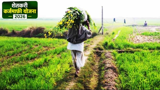 Farmer Loan Waiver: शेतकरी कर्जमाफीची मोठी अपडेट, लाभार्थी शेतकरी मयत झाल्यास वारसांना लाभ मिळणार?