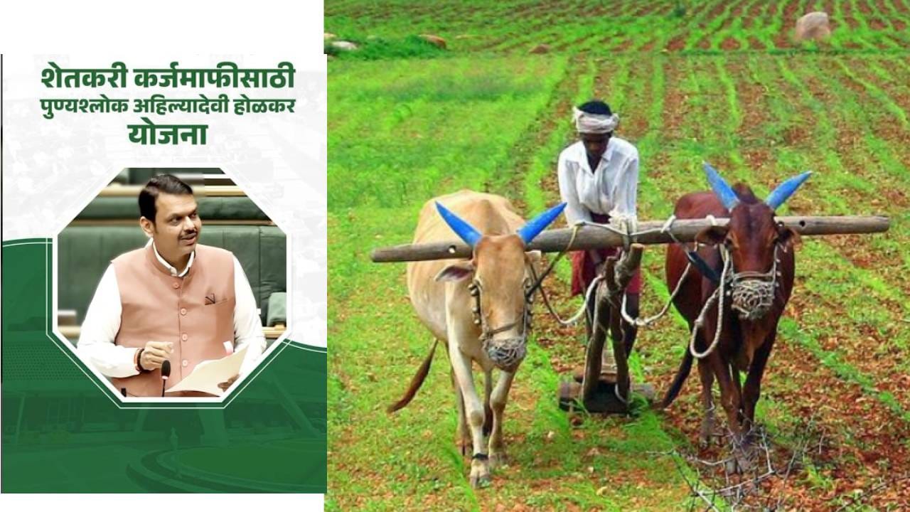 Farmer Loan Waiver: मयत शेतकऱ्यांच्या वारसांनाही कर्जमाफीचा लाभ, सरकारचा महत्त्वाचा निर्णय