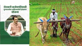 Farmer Loan Waiver: मयत शेतकऱ्यांच्या वारसांनाही कर्जमाफीचा लाभ, सरकारचा महत्त्वाचा निर्णय