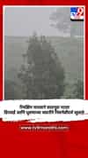 रिमझिम पावसाने सातपुडा नटला, हिरवाई आणि धुक्याच्या चादरीने निसर्गसौंदर्य खुलले