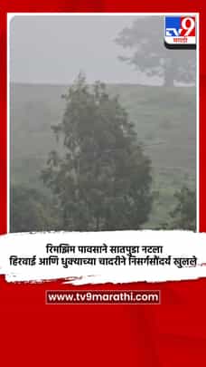 रिमझिम पावसाने सातपुडा नटला, हिरवाई आणि धुक्याच्या चादरीने निसर्गसौंदर्य खुलले-1732521