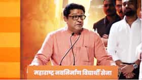 जंतर मंतरवर डोकी फोडली, माफी कधी मागणार? राज ठाकरेंचा रोख कुणावर?.