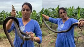 रोहिणी खडसे यांनी हातात पकडला जिवंत साप, Video तुफान व्हायरल.