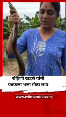 रोहिणी खडसे यांनी पकडला भला मोठा साप, Video-1732627