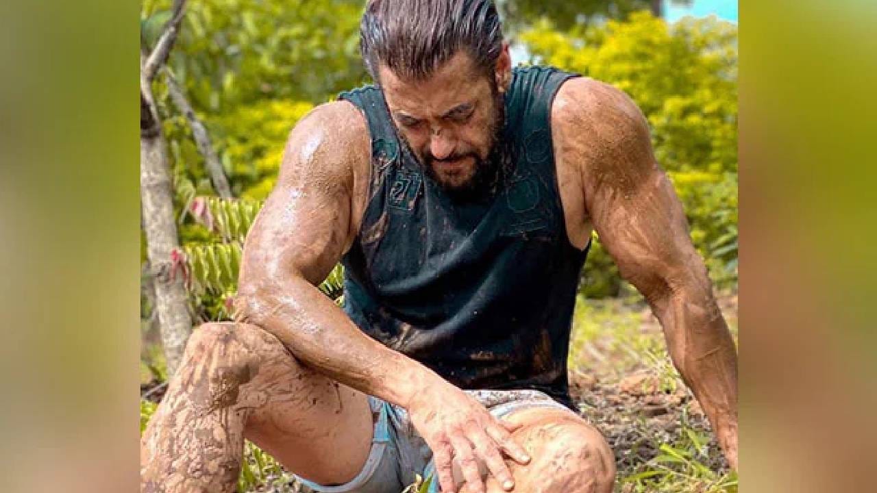 सलमान खान अनेकदा स्वतः शेतात काम करताना दिसला आहे. धान्याची लागवड, ट्रॅक्टर चालवणे आणि शेतीची कामे करतानाचे त्याचे फोटो व व्हिडिओ सोशल मीडियावर मोठ्या प्रमाणात व्हायरल झाले आहेत. 