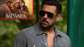 Salman Khan : ‘बंटवारा 1947’ पाहताच भाईजानने केला खास कॉल, काय म्हणाला सलमान खान ?