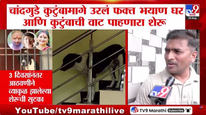 Sambhajinagar : चांदगुडे कुटुंबामागे उरलं फक्त भयाण घर आणि कुटुंबाची वाट पाहणारा शेरू , 3 दिवसानंतर शेरुची सुटका