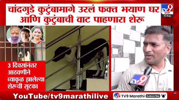 Sambhajinagar : चांदगुडे कुटुंबामागे उरलं फक्त भयाण घर आणि कुटुंबाची वाट पाहणारा शेरू , 3 दिवसानंतर शेरुची सुटका