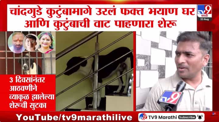 Sambhajinagar : चांदगुडे कुटुंबामागे उरलं फक्त भयाण घर आणि कुटुंबाची वाट पाहणारा शेरू , 3 दिवसानंतर शेरुची सुटका Sambhajinagar : चांदगुडे कुटुंबामागे उरलं फक्त भयाण घर आणि कुटुंबाची वाट पाहणारा शेरू , 3 दिवसानंतर शेरुची सुटका