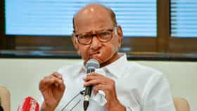 Sharad Pawar : मुंबई कुणाची? शरद पवारांनी एका वाक्यात दिलं उत्तर, नेमकं काय म्हणाले?