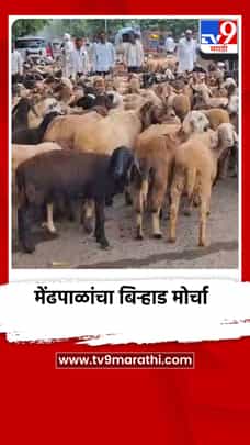 मालेगाव तालुक्यातील मोहपाडे येथे मेंढपाळांचा बिऱ्हाड मोर्चा-1734173