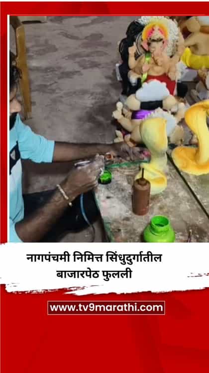 नागपंचमी निमित्त सिंधुदुर्गातील बाजारपेठ फुलली-1735854