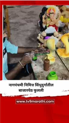 नागपंचमी निमित्त सिंधुदुर्गातील बाजारपेठ फुलली-1735854
