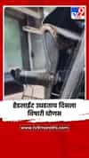 हेडलाईट उघडताच दिसला विषारी घोणस