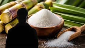 Sugar Rate: मला साखर खूप महाग व्हावी असे वाटते... भाजपच्या मंत्र्याचे साखरेच्या किमतींवर वादग्रस्त विधान