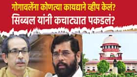 गोगावलेंना कोणत्या कायद्याने व्हीप केलं? सिब्बल यांनी कचाट्यात पकडलं? टेन्शन वाढवणारा युक्तिवाद जसाच्या तसा