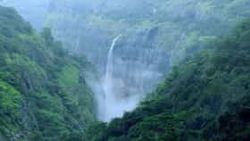 सुट्टी संपण्यापूर्वी पुण्याजवळील या धबधब्यांना भेट द्या, सौंदर्य पाहून.