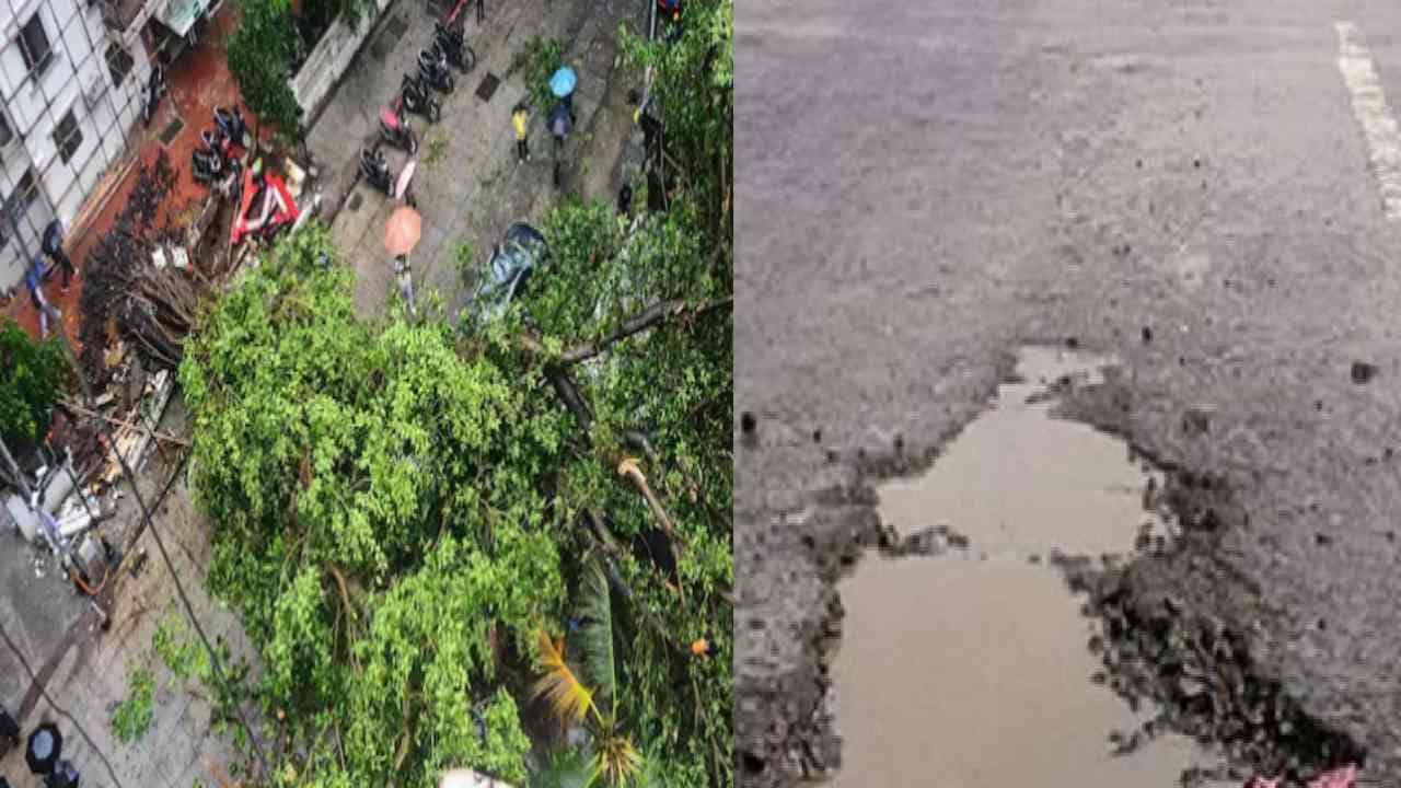 Mumbai News : झाडांना विषारी इंजेक्शन ते खड्डेमुक्त मुंबईच्या दाव्यानंतरही पुन्हा कोट्यवधींची तरतूद, मुंबईतील पाच महत्वाच्या बातम्या Mumbai News : झाडांना विषारी इंजेक्शन ते खड्डेमुक्त मुंबईच्या दाव्यानंतरही पुन्हा कोट्यवधींची तरतूद, मुंबईतील पाच महत्वाच्या बातम्या