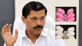 हा हा हा... तुकाराम मुंढेंमुळे बुड्ढीचे गुलाबी बाल झाले पांढरे, सगळं बदलून गेलं!