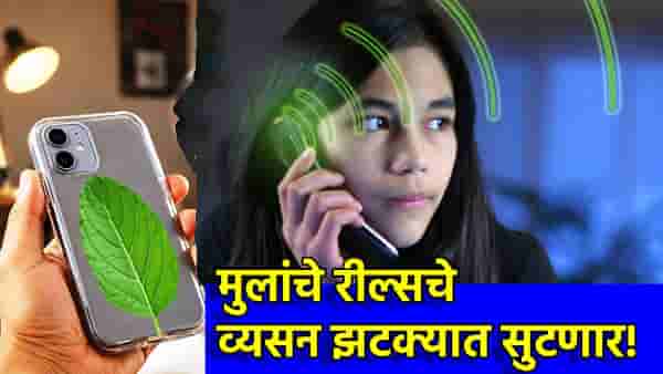आयांनो, मुलांचे रील्सचे व्यसन झटक्यात सुटणार! तुळशीच्या पानाचा चमत्कार माहिती झाला का? त्या दाव्याने...