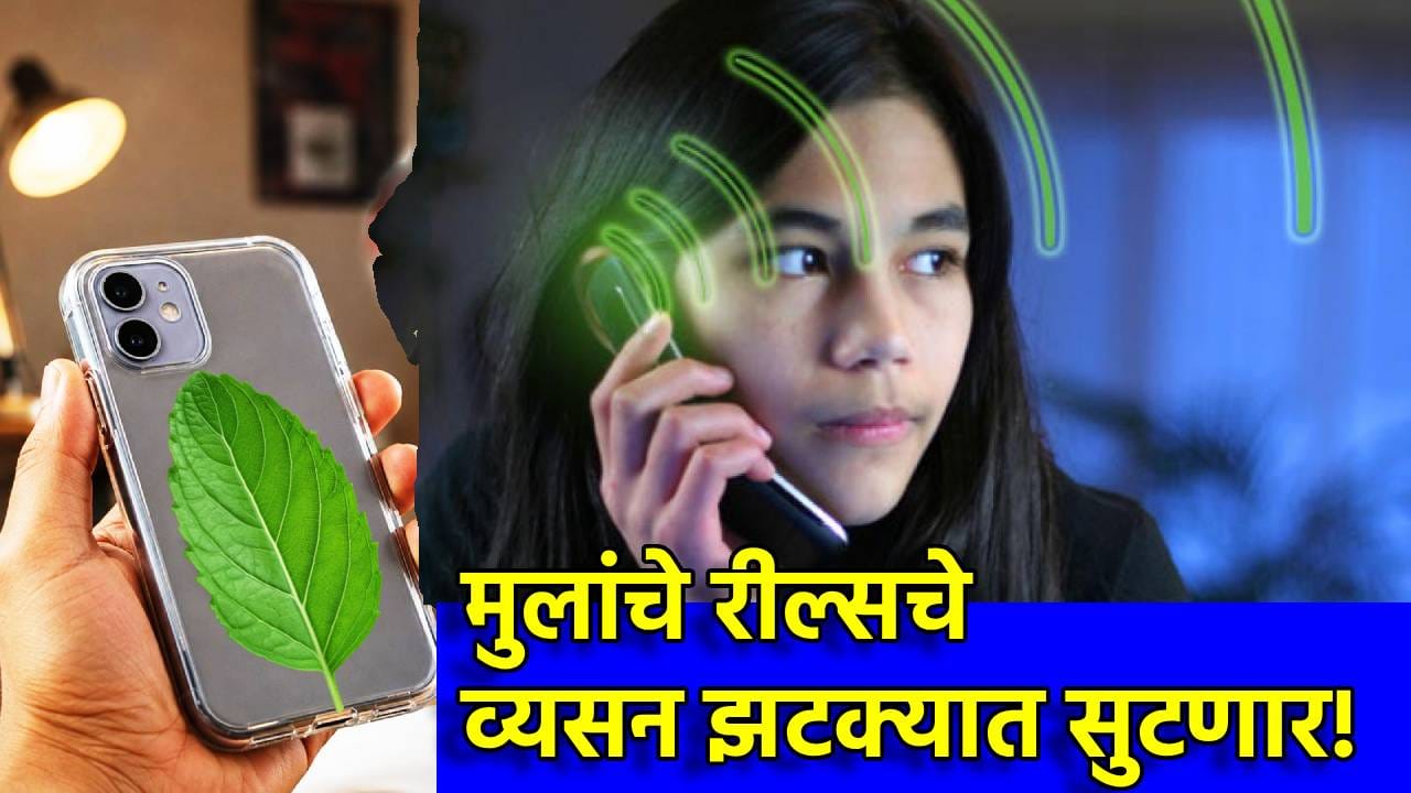 आयांनो, मुलांचे रील्सचे व्यसन झटक्यात सुटणार! तुळशीच्या पानाचा चमत्कार माहिती झाला का? त्या दाव्याने... आयांनो, मुलांचे रील्सचे व्यसन झटक्यात सुटणार! तुळशीच्या पानाचा चमत्कार माहिती झाला का? त्या दाव्याने...