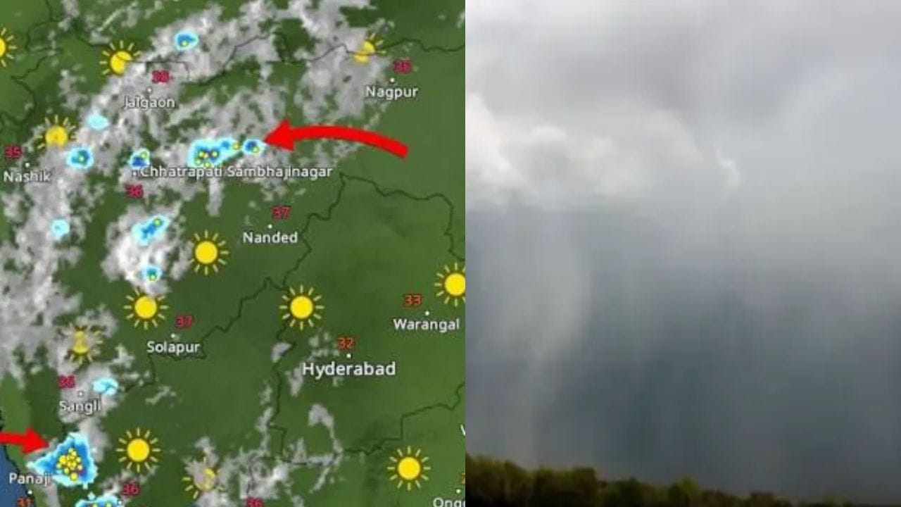 Maharashtra Weather Update : पावसाचा मोठा इशारा, पुढील 25 तास धोक्यात, तब्बल इतक्या जिल्ह्यात.. Maharashtra Weather Update : पावसाचा मोठा इशारा, पुढील 25 तास धोक्यात, तब्बल इतक्या जिल्ह्यात..
