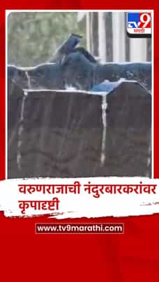 नंदुरबार : शहरासह परिसरात सलग दुसऱ्या दिवशी पावसाची दमदार हजेरी-1733442