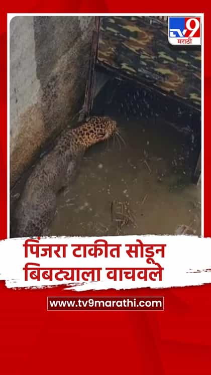 अहिल्यानगर : बाभळेश्वर : पाण्याच्या टाकीत पडलेल्या बिबट्याला वनविभागाने वाचवले-1739066