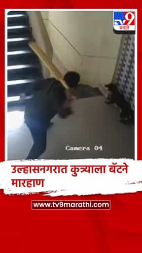 उल्हासनगरात कुत्र्याला बॅटने मारहाण, प्राणीप्रेमींमध्ये संताप