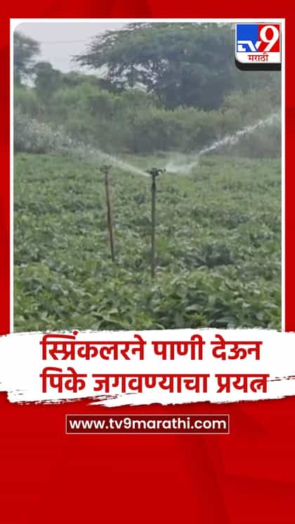अहिल्यानगर - श्रीरामपुर - पावसाने दडी मारल्याने खरीप पिके धोक्यात ; पिके जगवण्यासाठी शेतकऱ्यांची धडपड-1746041