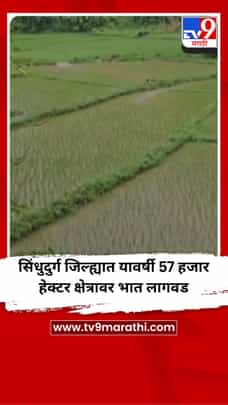 सिंधुदुर्ग जिल्ह्यात यावर्षी 57 हजार हेक्टर क्षेत्रावर भात लागवड-1728021