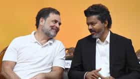थलपती विजय आता पंतप्रधानपदाच्या शर्यतीत, नव्या सर्व्हेमुळे राहुल गांधींची चिंता वाढली, नेमकी आकडेवारी काय