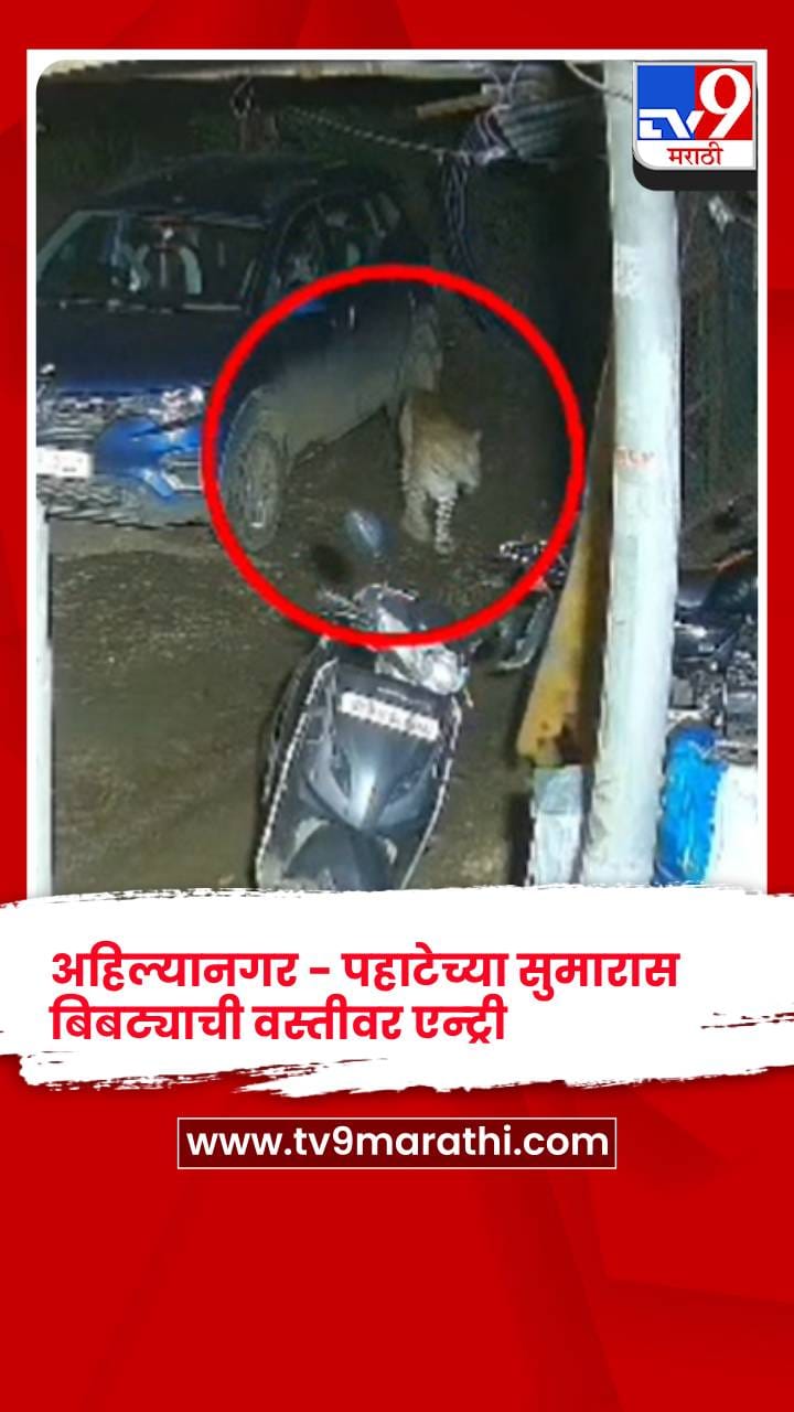 अहिल्यानगर - बिबट्याचा वाढता वावर, नागरिकांमध्ये भीतीचे वातावरण-1727896