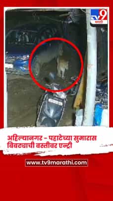 अहिल्यानगर - बिबट्याचा वाढता वावर, नागरिकांमध्ये भीतीचे वातावरण-1727896
