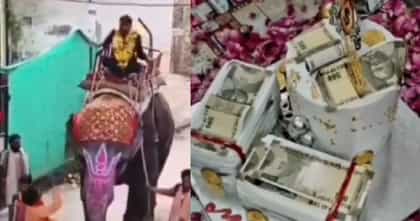 सरकारी इंजिनीअरचा राजेशाही थाट; बर्थडेला हत्तीवरून मिरवणूक, केक....