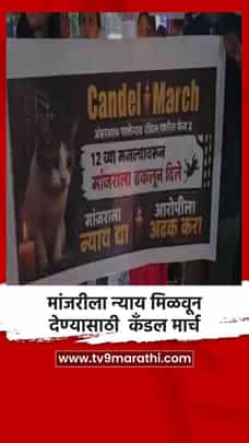 मांजरीला न्याय मिळवून देण्यासाठी कँडल मार्च-1726626