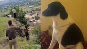 सगळं गेलं... घरात उरलाय फक्त एक कुत्रा, खवड्या डोंगर प्रकरणातील काळीज पिळवटून टाकणारी घटना
