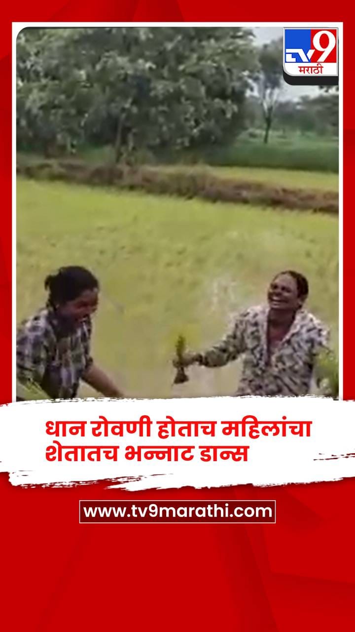 धान रोवणी पूर्ण होताच महिलांचा शेतातच भन्नाट डान्स, व्हिडिओ तुफान व्हायरल-1731590