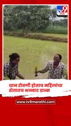 धान रोवणी पूर्ण होताच महिलांचा शेतातच भन्नाट डान्स, व्हिडिओ तुफान व्हायरल-1731590