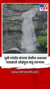 धुळे लांडोर बंगला येथील धबधबा पावसाने ओसंडून वाहू लागला