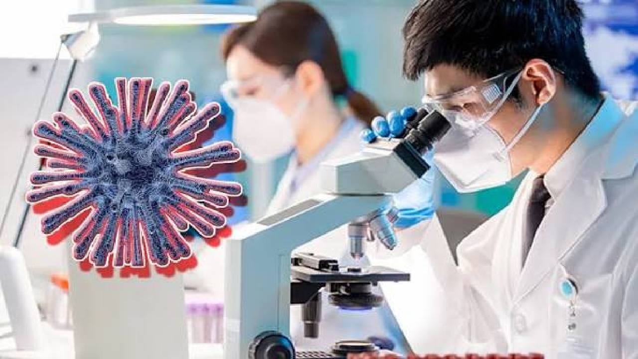 Ebola Outbreak : भयानक महामारीचं संकट धडकलं, WHO चा जगाला गंभीर इशारा, या देशात हाहाकार! Ebola Outbreak : भयानक महामारीचं संकट धडकलं, WHO चा जगाला गंभीर इशारा, या देशात हाहाकार!