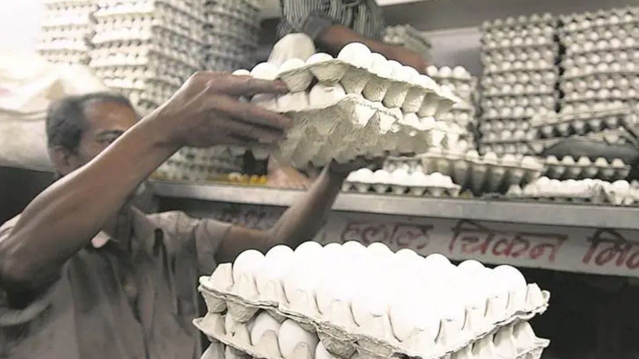 अंड्याच्या किंमतीत 40 टक्क्यांनी वाढ, या कारणामुळे वाढल्या किंमती.. अंड्याच्या किंमतीत 40 टक्क्यांनी वाढ, या कारणामुळे वाढल्या किंमती..