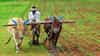 Farmer Scheme : आता शेतकऱ्याच्या संपूर्ण कुटुंबाला थेट लाभ, सरकारचा या योजनेसाठी सर्वात मोठा निर्णय; लाखो शेतकरी...