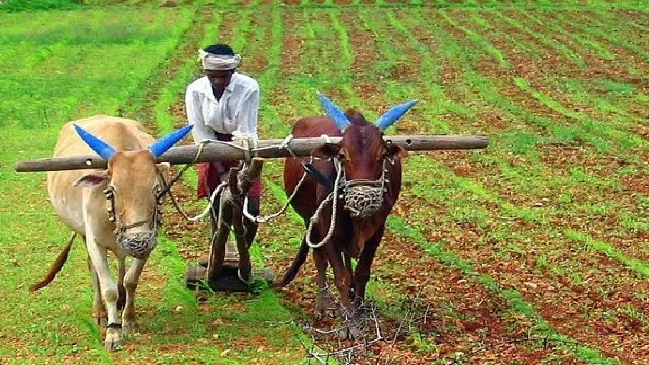 Farmer Scheme : आता शेतकऱ्याच्या संपूर्ण कुटुंबाला थेट लाभ, सरकारचा या योजनेसाठी सर्वात मोठा निर्णय; लाखो शेतकरी... Farmer Scheme : आता शेतकऱ्याच्या संपूर्ण कुटुंबाला थेट लाभ, सरकारचा या योजनेसाठी सर्वात मोठा निर्णय; लाखो शेतकरी...