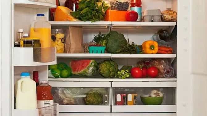Kitchen Tips : गरम पदार्थ ठेवल्याने खरंच फ्रिजचं नुकसान होतं? जाणून घ्या यामागचं सत्य