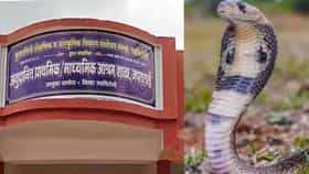 गडचिरोलीत सर्पदंशाची दहशत! अवघ्या 2 दोन दिवसांत शाळा पडली ओस.